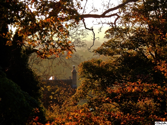 House Peeking through Misty Autumn Trees on Dovers Hill, Cotswolds - An Autumn Adventure at www.elistonbutton.com - Eliston Button - That Crafty Kid